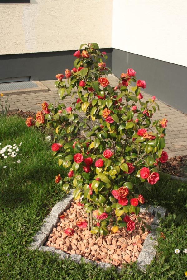 Appartamento Diamond House Deluxe 5 Koblenz Coblenza Esterno foto